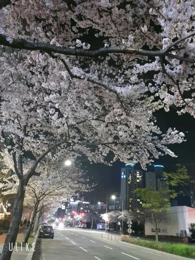 [크기변환]beauty_20190328212525.jpg